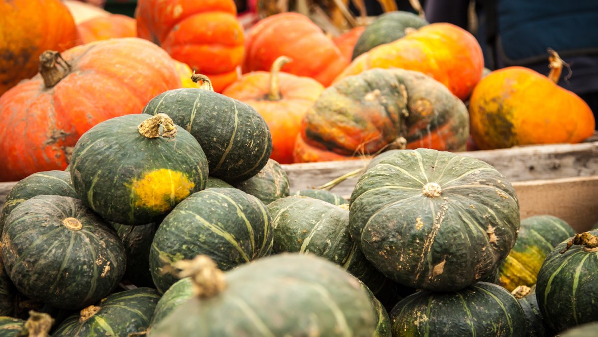 Trung bình cứ 100g bí đỏ có lượng calo khoảng 26 kcal Trung bình cứ 100g bí đỏ có lượng calo khoảng 26 kcal